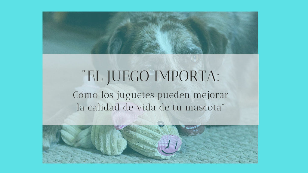 "El juego importa: Cómo los juguetes pueden mejorar la calidad de vida de tu mascota"