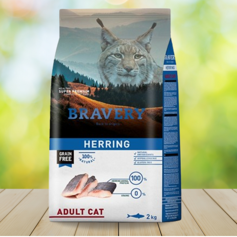 Bravery Herring Gato Adulto