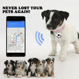 Chip GPS para mascotas